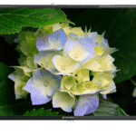 43-Inch Smart Screen – Android 13 – Scratch-Resistant